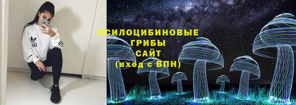 амф Зерноград