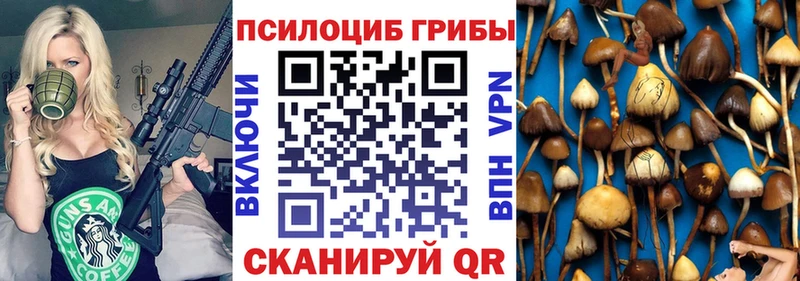 Псилоцибиновые грибы MAGIC MUSHROOMS  где купить   Вельск 